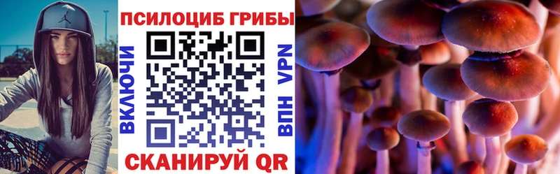 Купить где  Судак  Псилоцибиновые грибы прущие грибы 